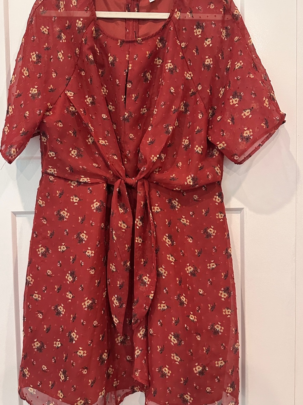 Red Floral Tie-Front Dress